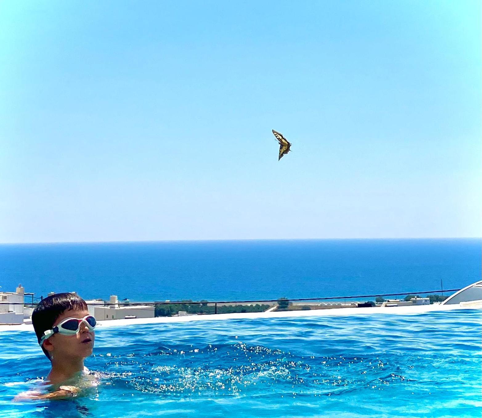 Zax Sea View